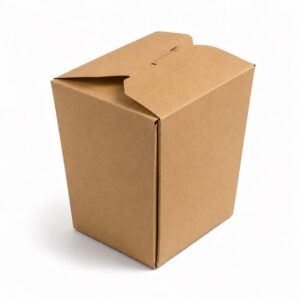 Takeout Paperboard Box